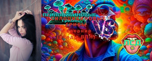 mix Арсеньев