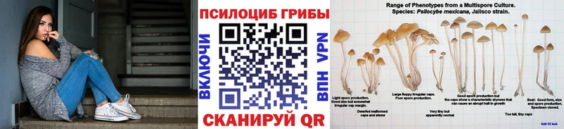 хочу наркоту  Приморско-Ахтарск  KRAKEN ONION  Галлюциногенные грибы Cubensis 